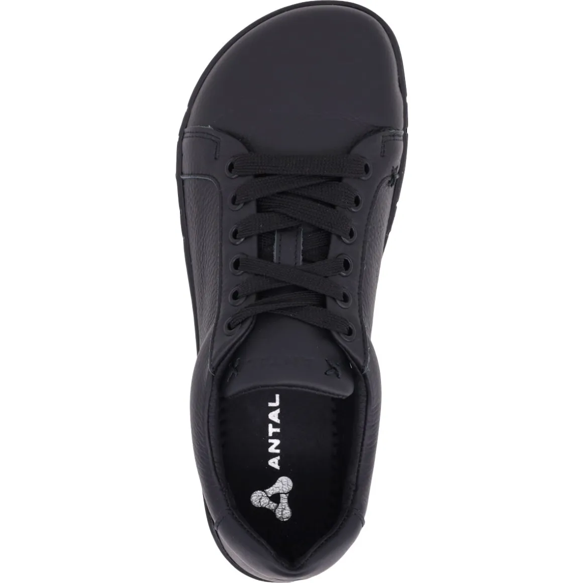 Antal ~ Camino Leder Sneaker ~ Schwarz