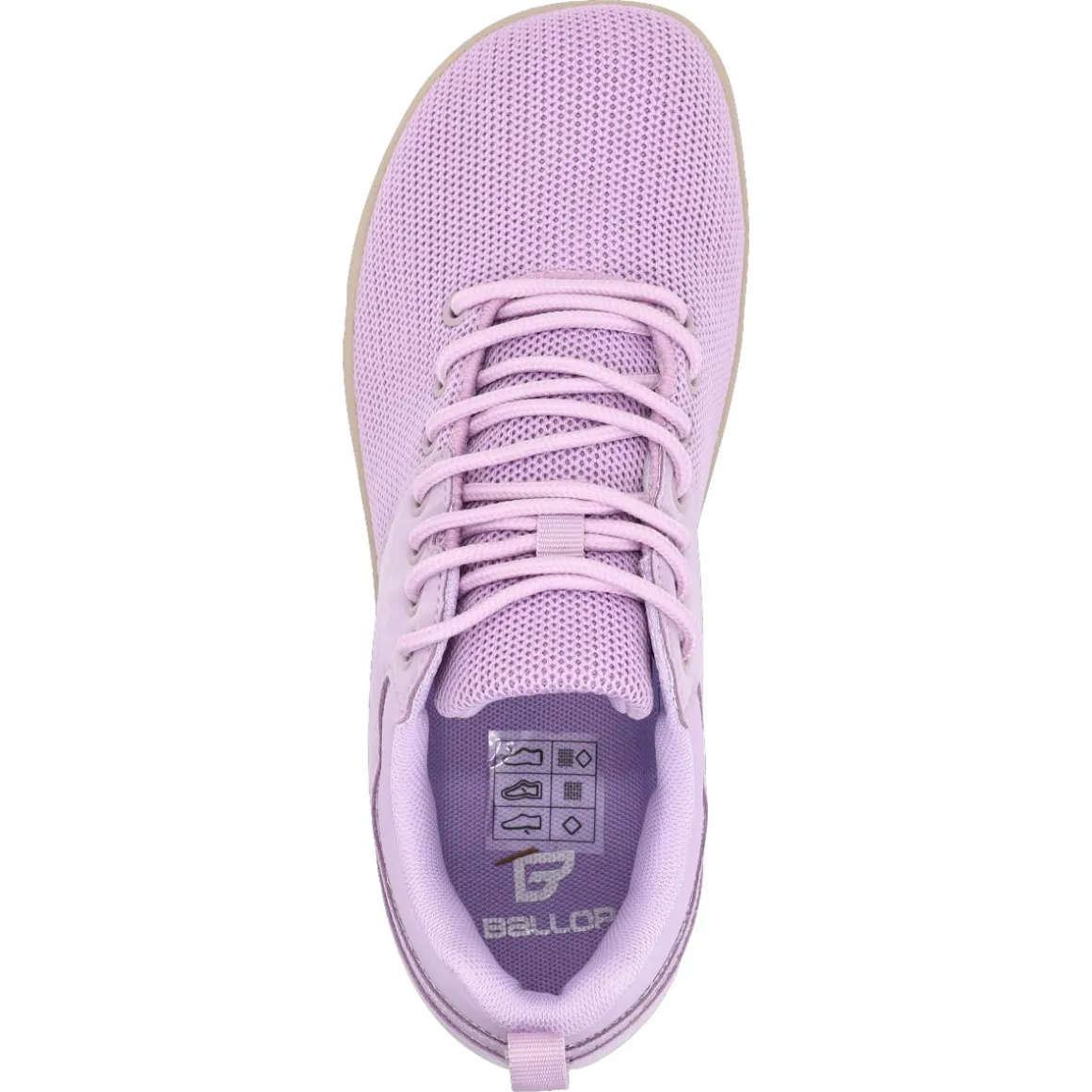 Ballop BF2 |a ~ Bneed 2.0 ~ Mauve
