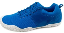 Ballop BF1 |a ~ Bneed ~ Royal Blue