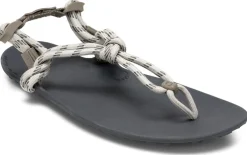 Xero |f ~ Genesis Sandale ~ Stone