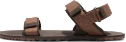 Xero |m ~ D-Trail Sandale ~ Cocoa Brown/Java Brown